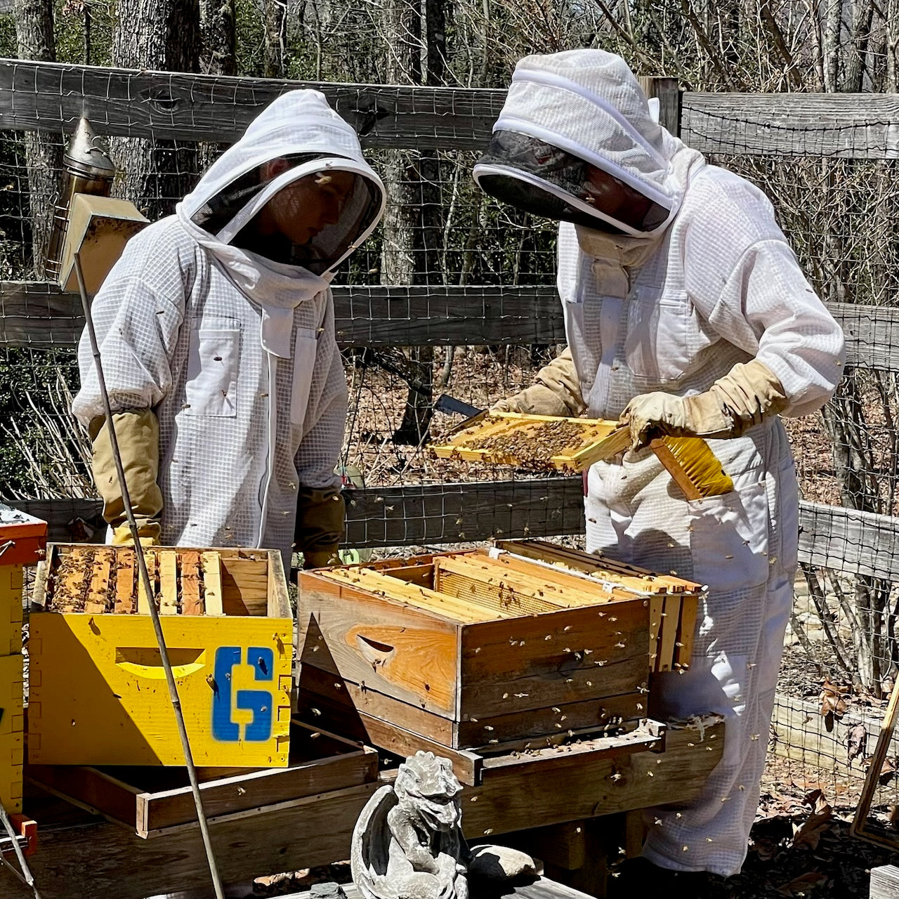 What Do Beekeepers Do in Spring? - PetHelpful