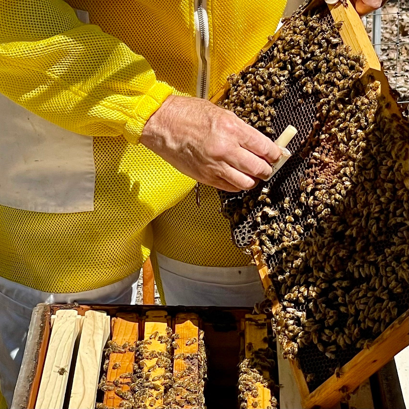 Getting our Bee Hives Ready to go in the Spring - Tales from the Apiar –  Killer Bees Honey