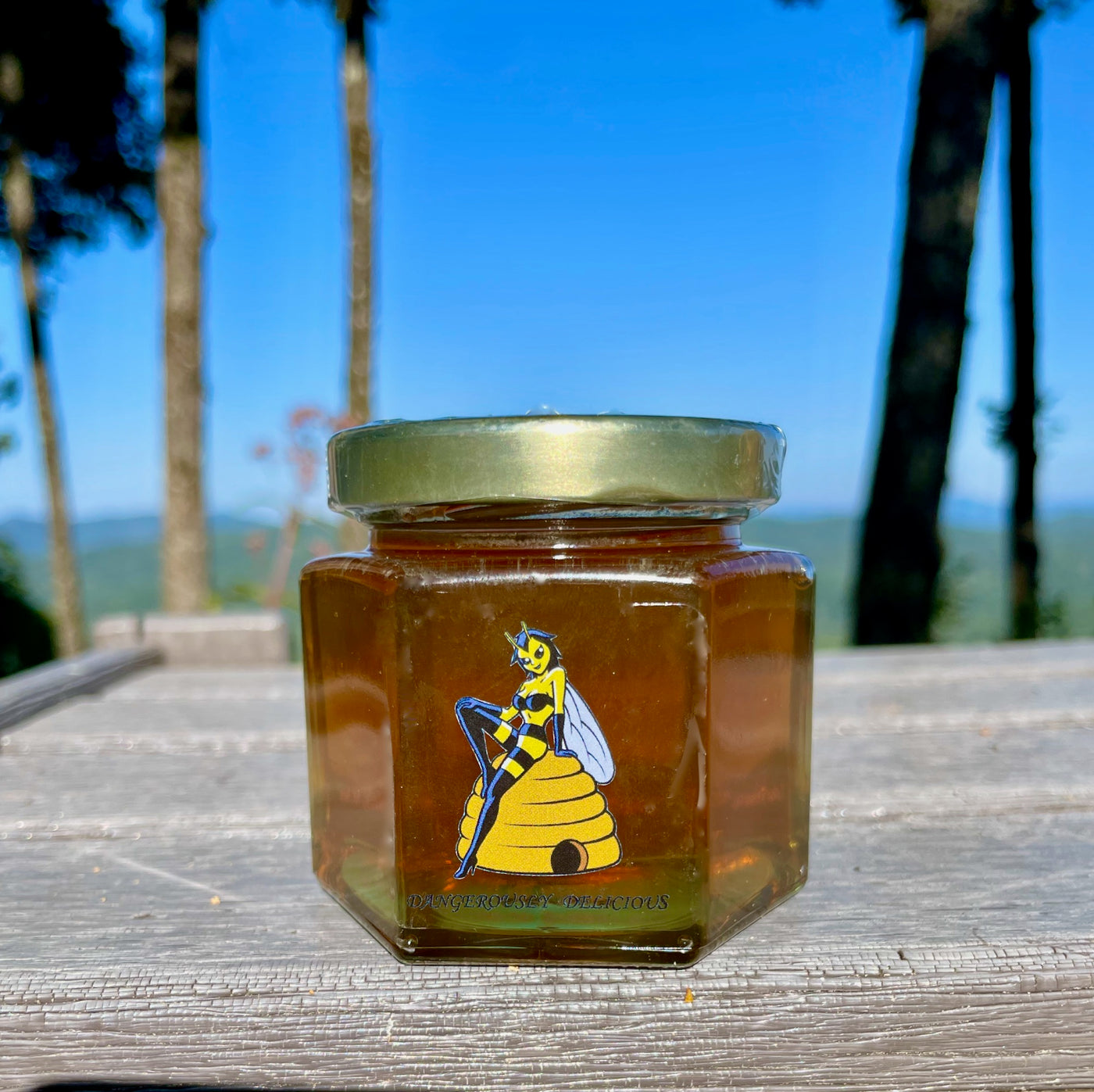 2024 Smoky Mountain Wildflower Honey- LIMITED AMOUNT